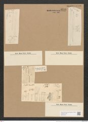 Nitzschia frauenfeldii Grun. (de-Toni-Nr.: Genus 47, Species 2136) Zeichnungen Sammlung Grunow Nr. 4299 (NHMW-BOT-W0372316)